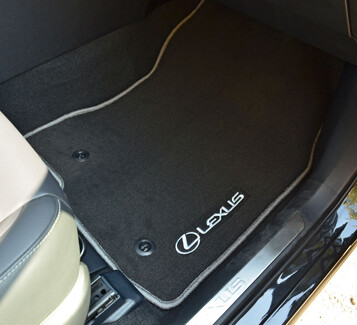 EVA коврики на Lexus NX I 2014 - 2021 в Ставрополе EVA коврики на Lexus NX I 2014 - 2021 в Ставрополе