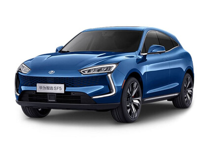 Коврики на Seres SF5 2019&nbsp;-&nbsp;2022 в Ставрополе