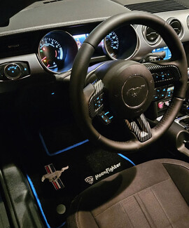 Ворсовые коврики на Ford Mustang VI 2013 - 2023 в Ставрополе Ворсовые коврики на Ford Mustang VI 2013 - 2023 в Ставрополе